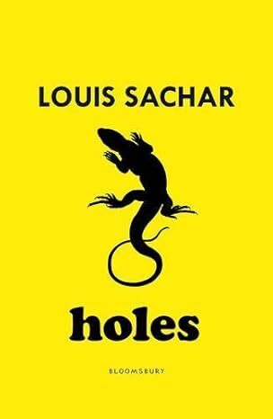 Holes cover