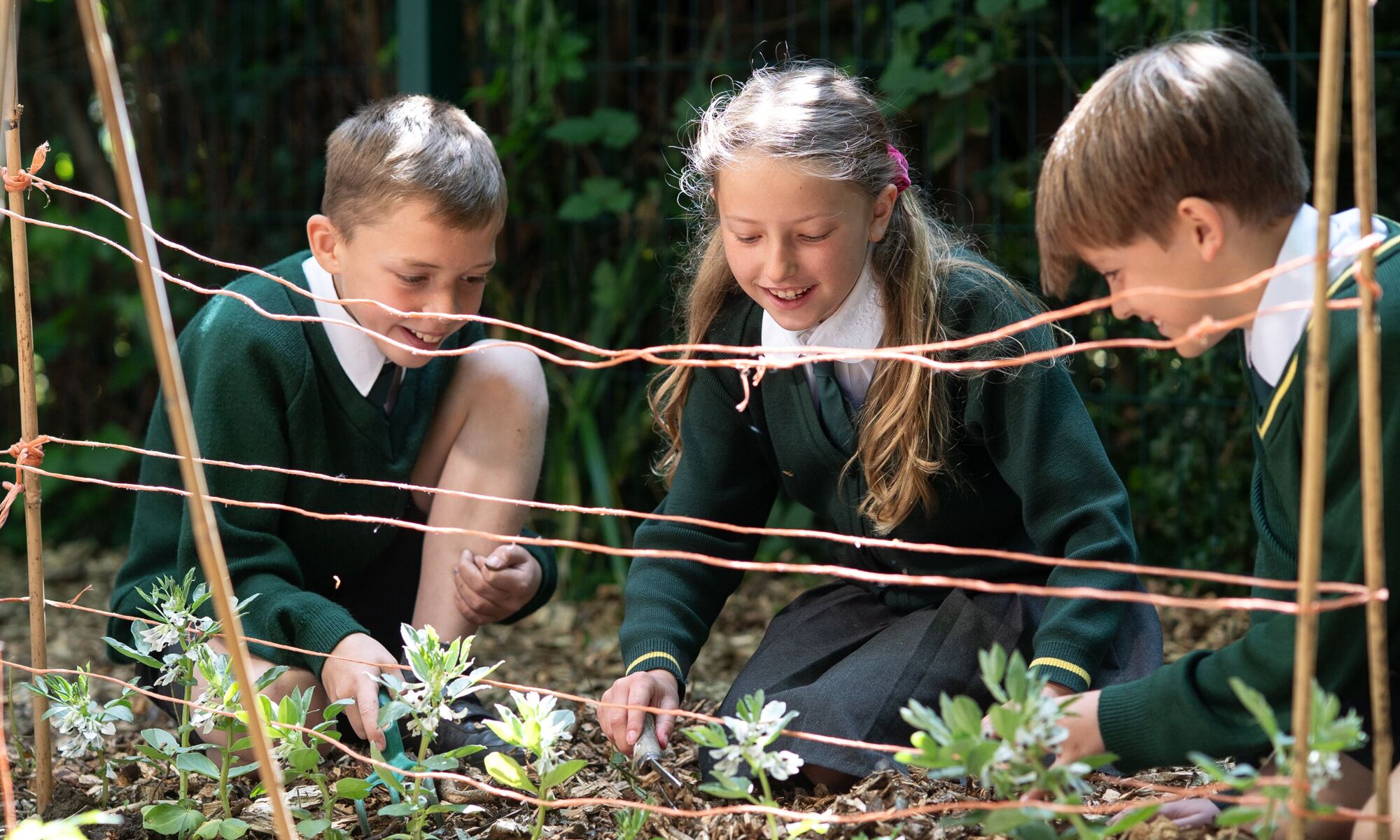 Smarden primary pupils viewing a map